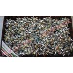 STELLE "6870 SPLENDID" ARGENTO mm. 10 - 100 pz